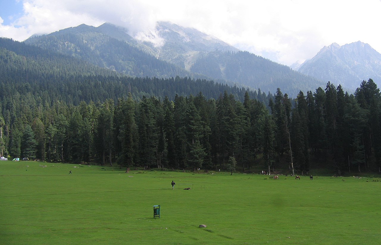 Baisaran meadow near Pahalgam